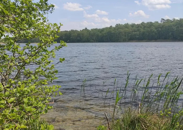 Sunday Appartement Dziwnów